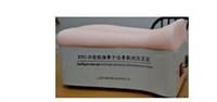 背部仿真針刺練習平臺 現(xiàn)代醫(yī)學教育的創(chuàng)新科教設備